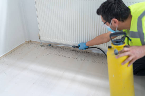 Best Affordable Pest Control Services  in Bells, TX