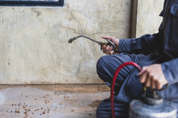 Pest Control Cost in Bells, TX